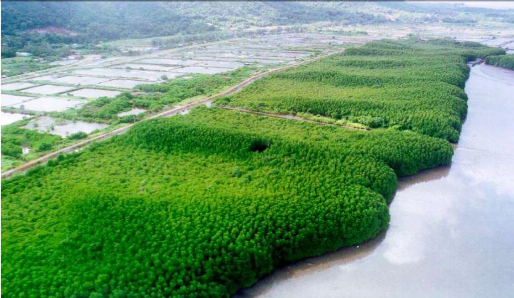 Modell av den planlagte Myeik University Mangrove Park