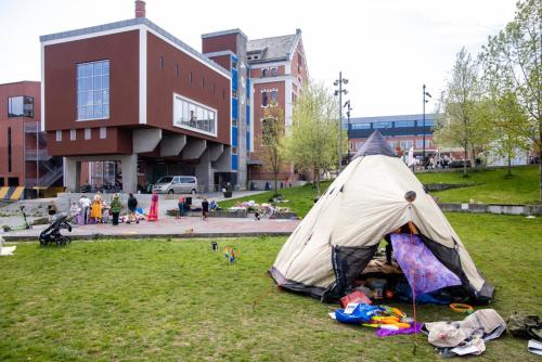 Foto: Marius Vervik / @storfotograf